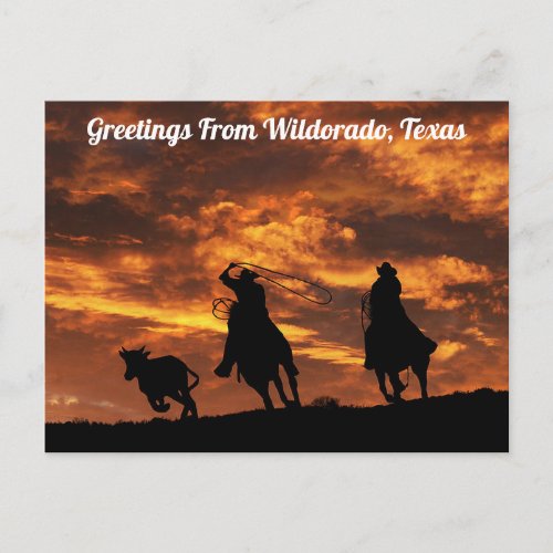 Greetings From Wildorado Texas Postcard