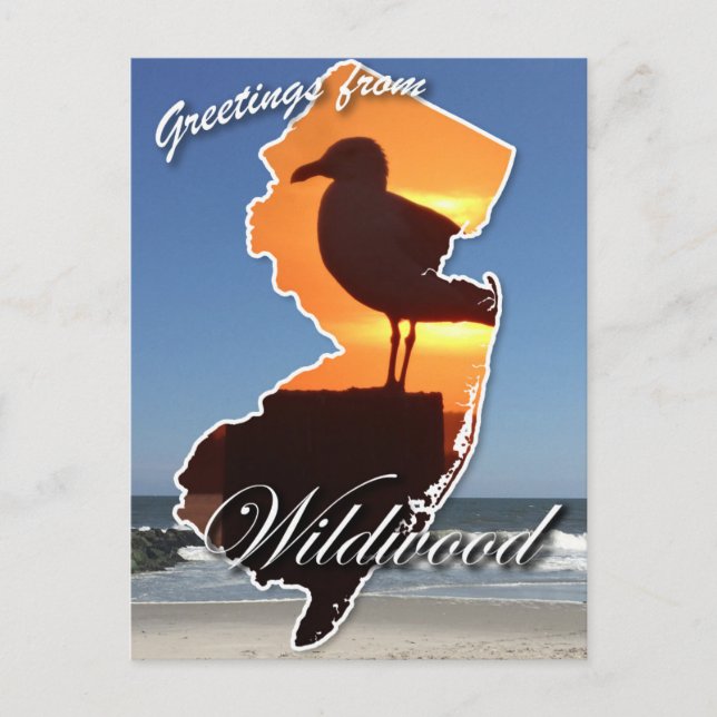 Greetings from Wildwood Holiday Postcard (Front)