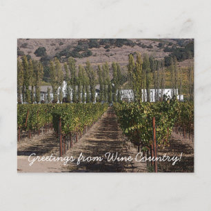 Greetings from Wine Country! Postcard