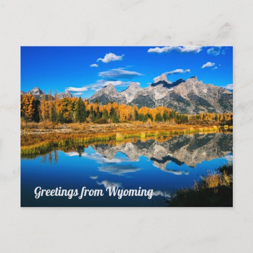 Greetings From Wyoming Postcard