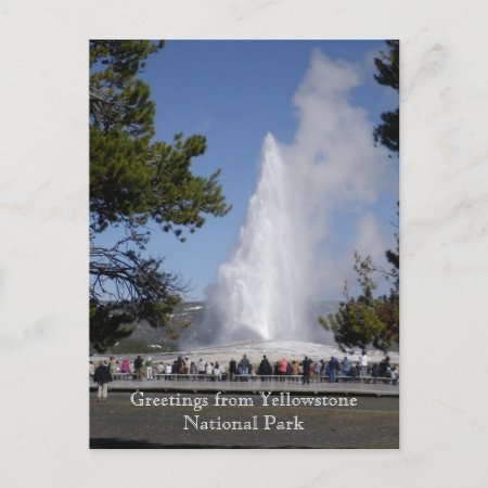 Greetings From Yellowstone National Park Postcard