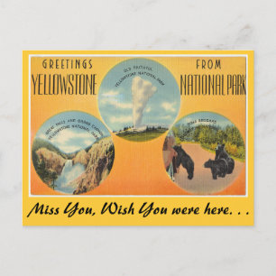 Greetings from Yellowstone National Park Postcard