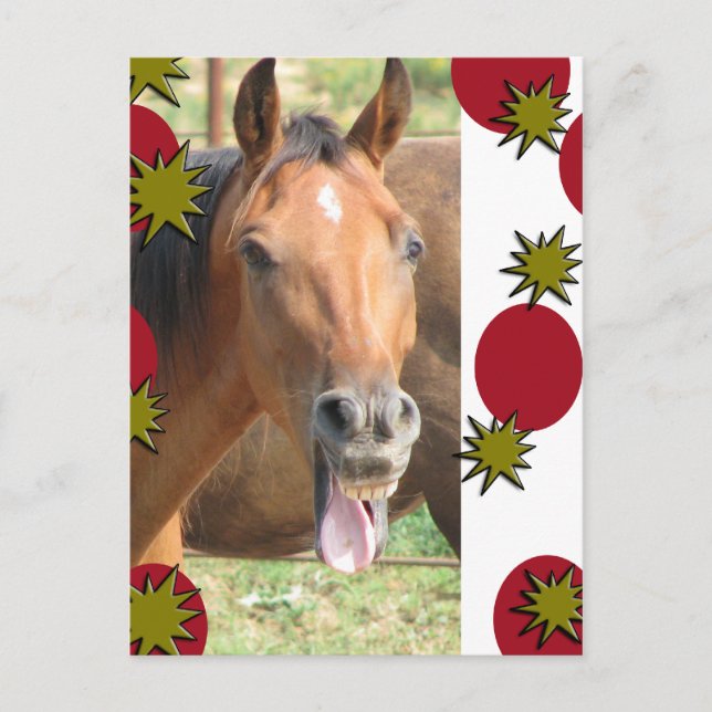 Greetings Holiday Postcard (Front)