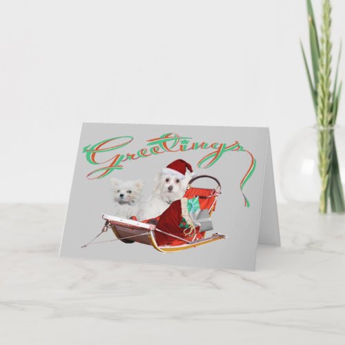 Greetings Maltese Christmas cards