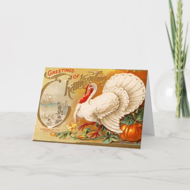 Greetings of Thanksgiving White Turkey Vintage Holiday Card (Front)