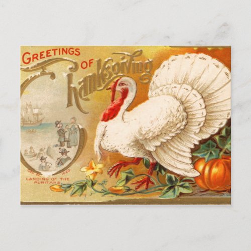 Greetings of Thanksgiving White Turkey Vintage Holiday Postcard