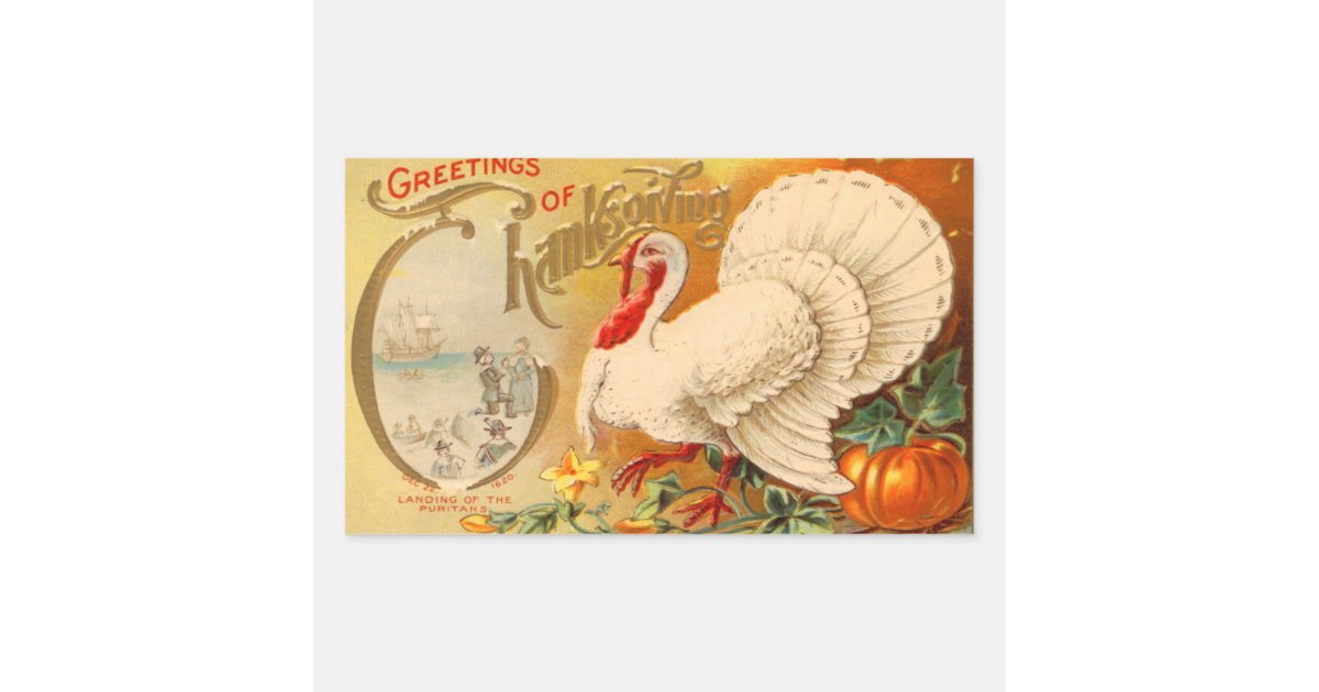 Greetings of Thanksgiving White Turkey Vintage Rectangular Sticker | Zazzle