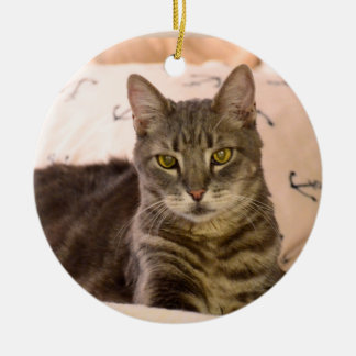 Tabby Cat Ornaments & Keepsake Ornaments | Zazzle