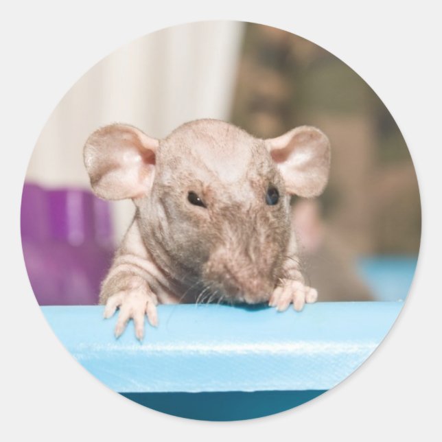 gremlin classic round sticker (Front)