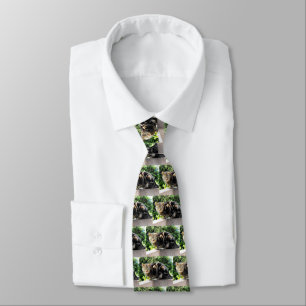 Gremlin the tabby cat neck tie