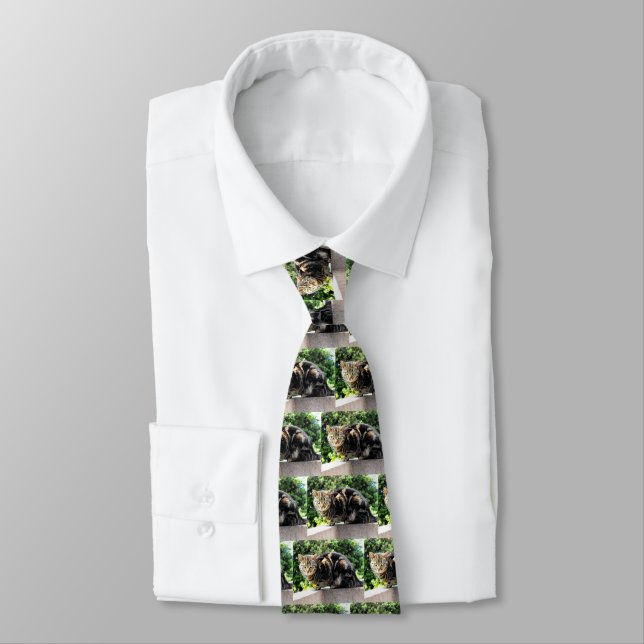 Gremlin the tabby cat neck tie (Tied)