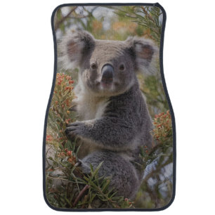 Grevillea Koala Bear, Car Floor Mat