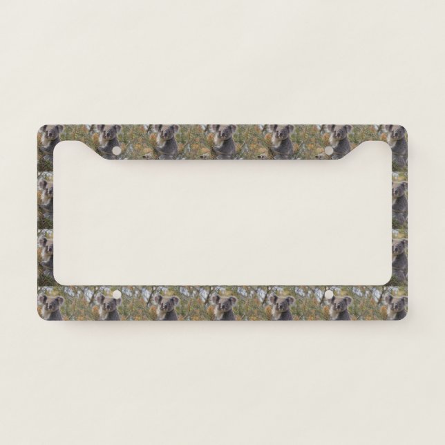 Grevillea Koala Bear, License Plate Frame (Front)