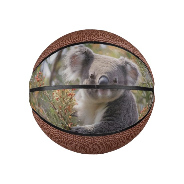 Grevillea Koala Bear, Mini Basketball (Front)