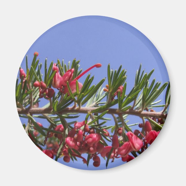 Grevillea Plant Magnet (Front)