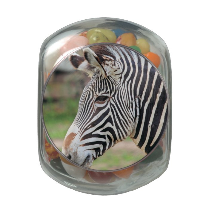 Grevy's Zebra Glass Candy Jars