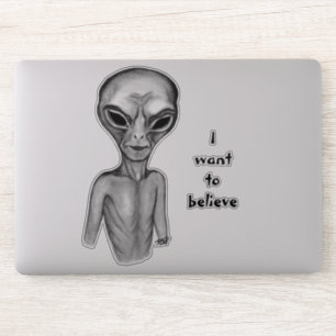 Grey Alien , I want to believe Sticker