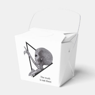 Grey Alien, the truth is out there Favor Boxes
