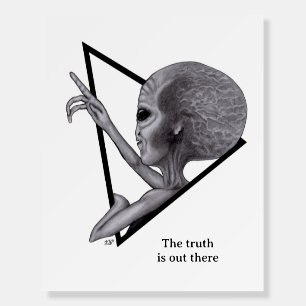 Grey Alien, the truth is out there Foam Board