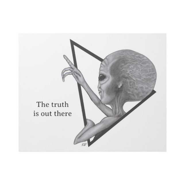 Grey Alien, the truth is out there Gallery Wrap (Front)