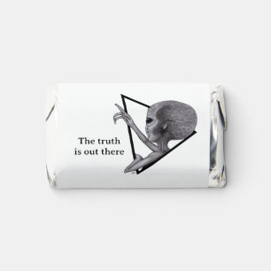 Grey Alien, the truth is out there Hershey's Miniatures