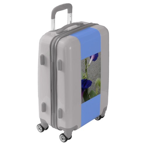 Grey and Blue Carry_On Luggage