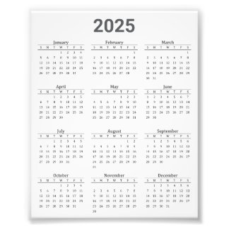 Grey and White 2025 Year At A Glance Calendar Photo Print