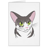 Grey and White Cat (Front)