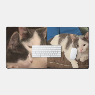 "Grey and white cat" Desk Mat