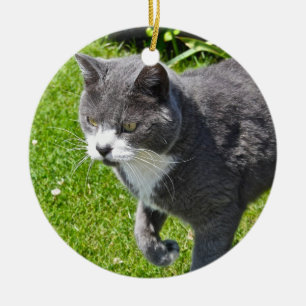 Grey and White Cat Ornament
