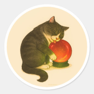 Grey and white cat with red crystal ball classic round sticker