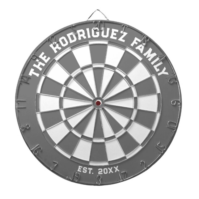 Grey and White Family Dartboard with Darts (Front)