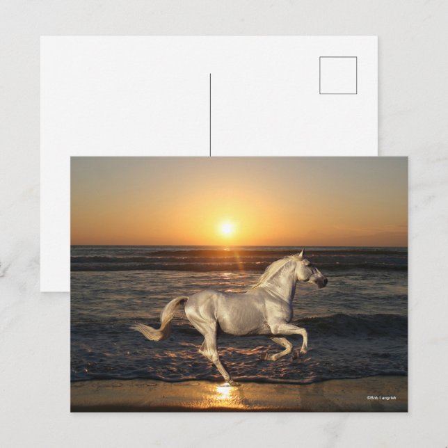 Grey Andalucian Running On Beach By Sea Postcard (Front/Back)