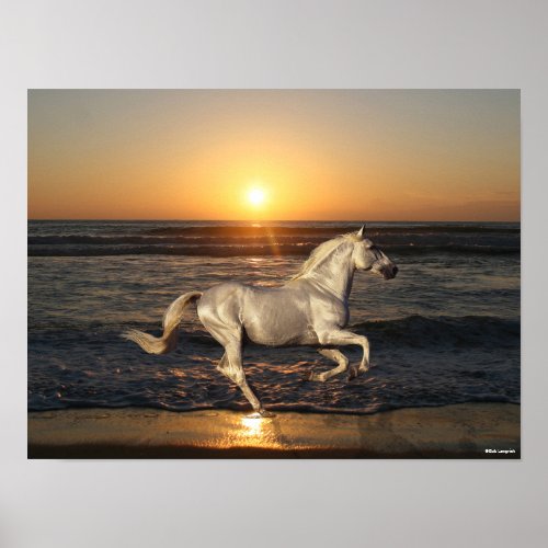 Grey Andalucian Running On Beach By Sea Poster