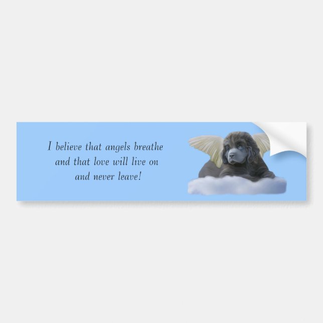 Grey Angel ~ I Believe Bumper Sticker (Front)