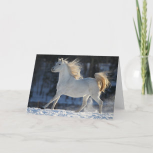 Grey Arab Running In Snow Mane Flowing Card
