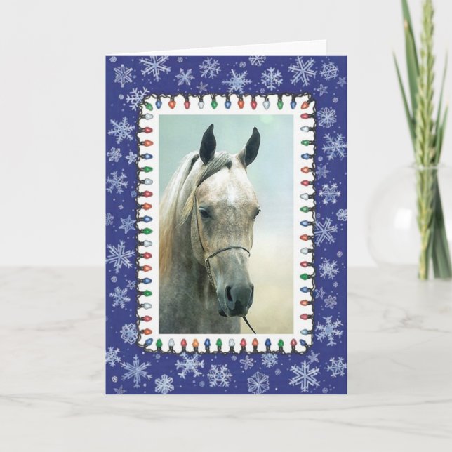 Grey Arabian Horse Blank Christmas Card (Front)