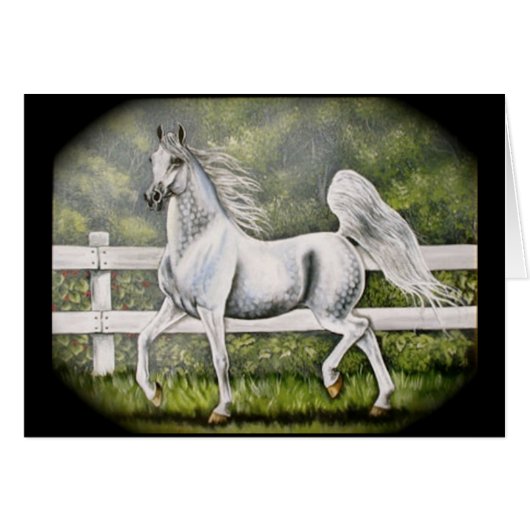 Grey Arabian Horse running Cards (Front Horizontal)