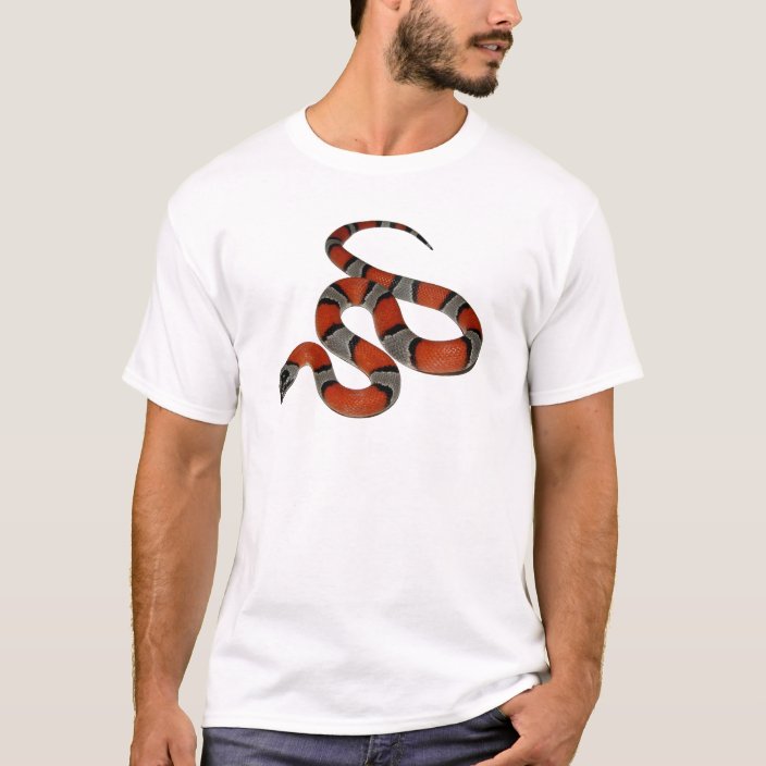 kingsnake shirt