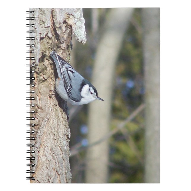 Grey Bird Photograph  Notebook (Front)