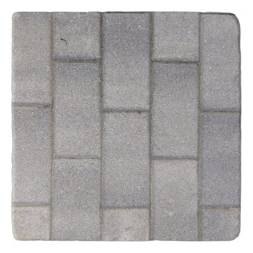 Grey Brick Cement Sidewalk Trivet