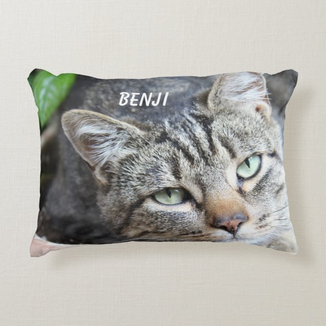 Grey Cat Accent Pillow (Front)