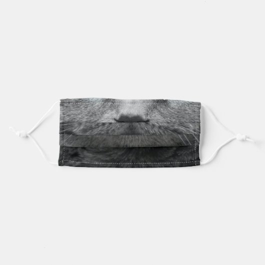 Grey Cat Adult Cloth Face Mask (Front, Folded)