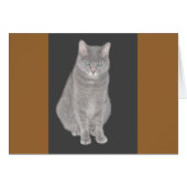 Grey Cat Card (Front Horizontal)