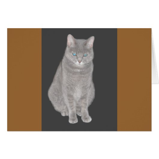 Grey Cat Card (Front Horizontal)
