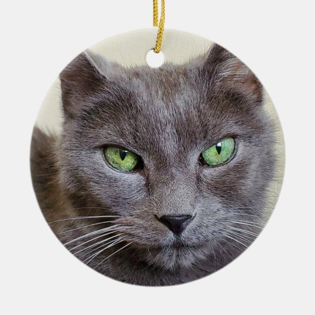 Grey cat  ceramic ornament (Front)