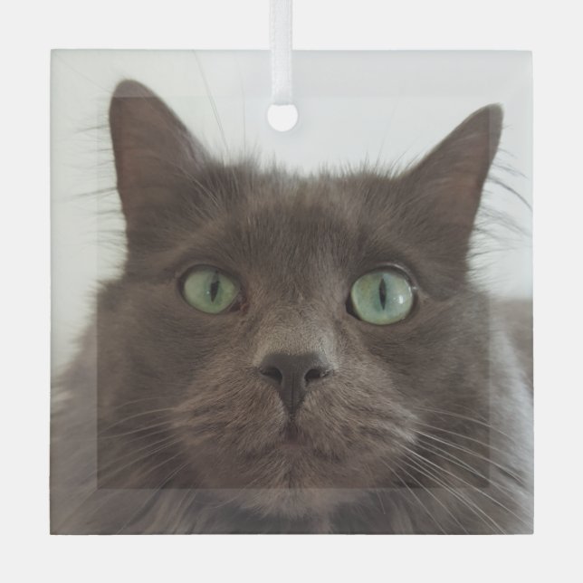 Grey cat glass ornament (Front)