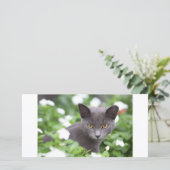 Grey cat in a garden (Standing Front)