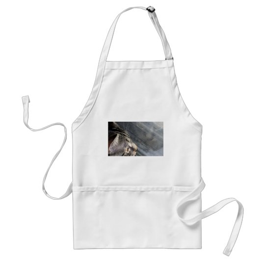 Grey Cat Looking Out the Window Adult Apron