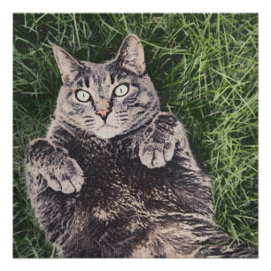 grey cat lying in the grass poster